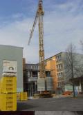 Bauma&szlig;nahmen